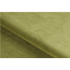 Boutique Velvet Olive