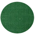 Green leather/fabric swatch
